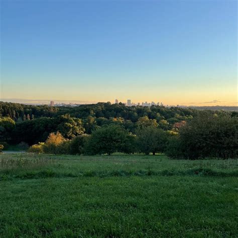 Boston Skyline Viewpoint - Tripshepherd