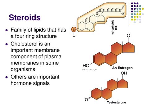 PPT - Lipids, Membranes & the First Cells PowerPoint Presentation - ID ...