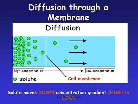 Solubility