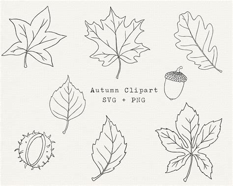 Leaf Clipart Outline