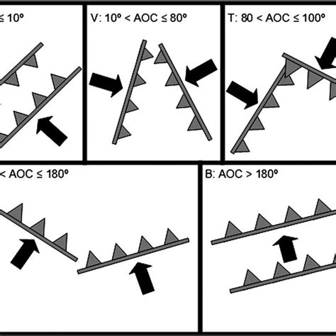 Diagram of all five AOC types. Cold-front symbols represent the OBs ...