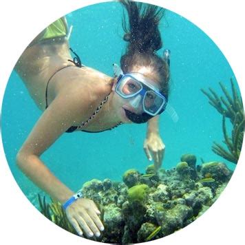 St Lucia Snorkeling Excursions