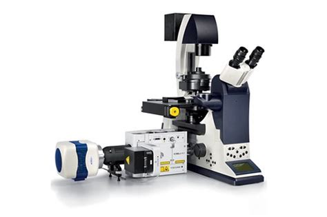 Leica Spinning Disk Confocal Microscope – Biological Imaging Facility