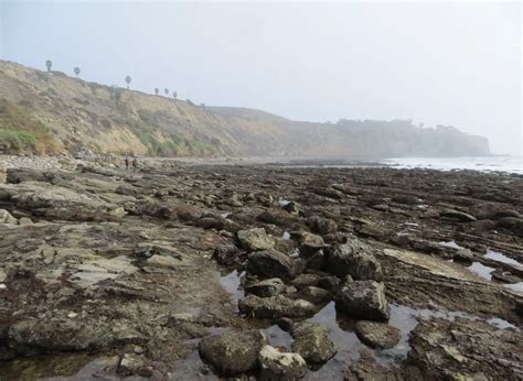 Beaches in San Pedro, Los Angeles CA - California Beaches