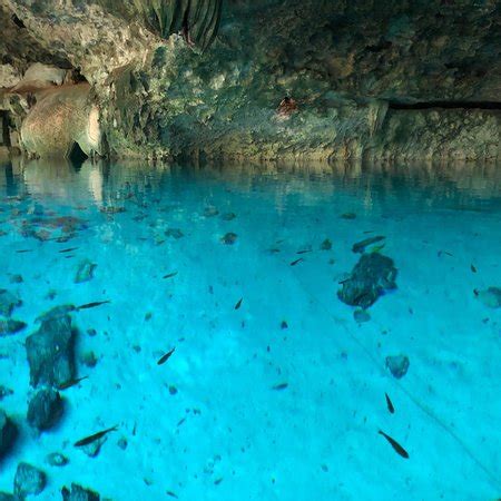 Cenotes Dos Ojos (Tulum) - 2018 All You Need to Know Before You Go (with Photos) - TripAdvisor