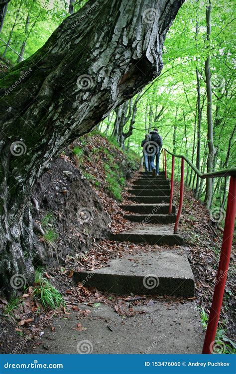 Stairs To Poenari Castle, Romania Stock Photo - Image of mountains, stairs: 153476060