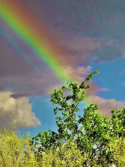 Sunshower Rainbow Photograph by Bonnie See - Fine Art America