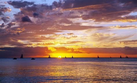 Honolulu Sunset Dinner Cruise and Show Shore Excursion from Oahu