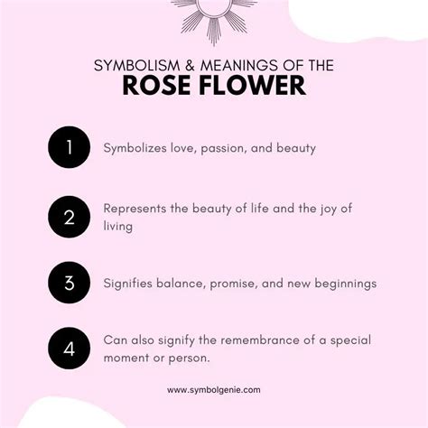 Rose: Symbolism, Meanings, and History - Symbol Genie