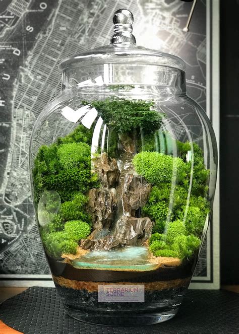 Pin by nancy bruder on Hobbies | Miniature garden, Garden terrarium ...