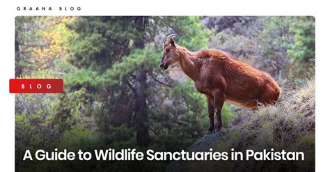 Graana.com Blog | A Guide to Wildlife Sanctuaries in Pakistan