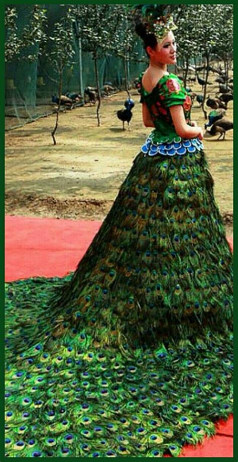 Beautiful Saved by SRIRAM | Traje de pavo real, Vestidos de coktel ...