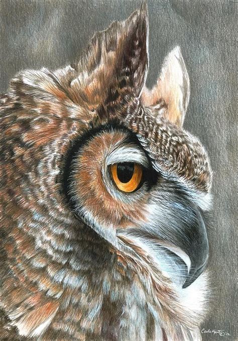 Sepia Owl by Carla Kurt | Art à thème oiseau, Peintures de hibou, Oiseaux peints