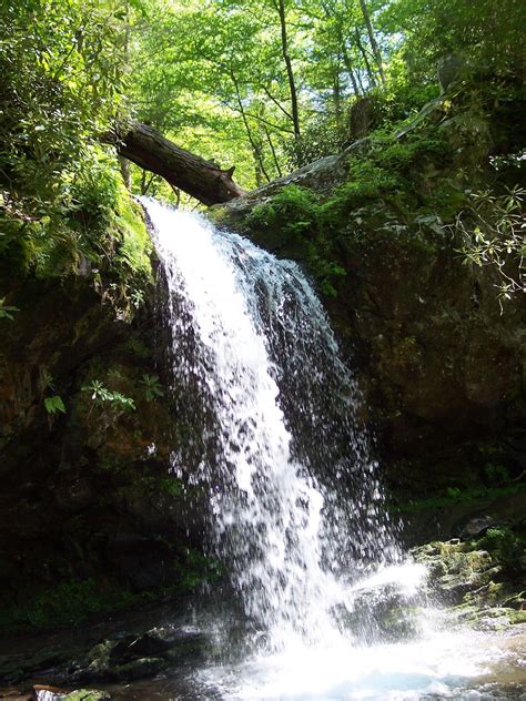 Grotto Falls Trail is a 2.6 mile out and back trail located near Gatlinburg, Tennessee that ...