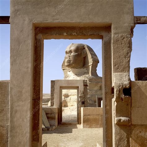 Sphinx - Stock Image - E905/0256 - Science Photo Library