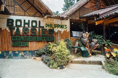 Tarsier Conservation Area In Bohol - Visitor's Guide