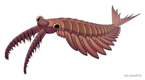 Anomalocaris by Jun075 on DeviantArt