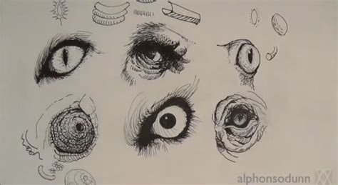 How To Draw Animal Eyes – Video Ink Pen Drawings, Ink Drawing, Animal ...