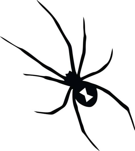 Black Widow Spider Stencil Widow Decal Creepy Proefje Aa07 Spinnen ...