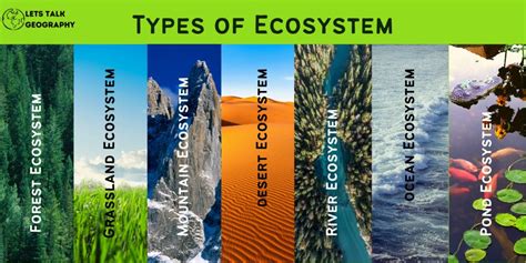 What Is An Ecosystem Types Examples And Importance - Bank2home.com