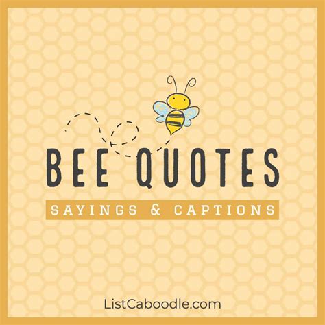 101+ Best Bee Quotes, Captions (For Bee Lovers!) | ListCaboodle