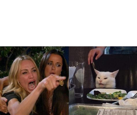 two woman yelling at a cat Blank Template - Imgflip