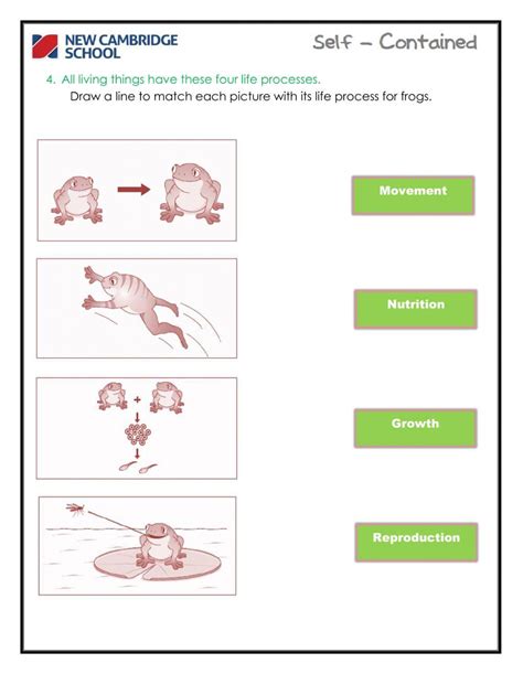 Life Processes- Interactive Worksheet 291156 | cnvega15