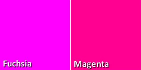 Fuchsia: Psychology, Meaning & Color Code (HEX, RGB, CMYK) | Fuschia pink color, Fuchsia, Magenta
