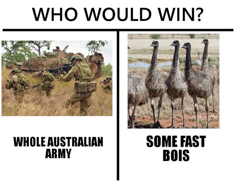 The Great Emu wars. : r/memes