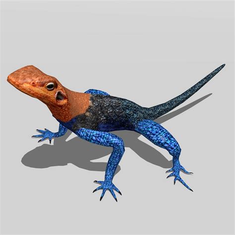 ArtStation - Agama Lizard | Resources