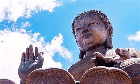 Buddhism's Third Noble Truth; an End to Suffering | YouAligned