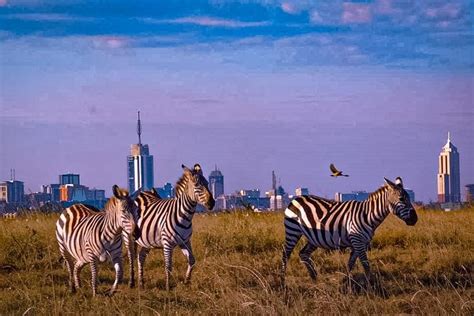 Nairobi National Park | Kenya Wildlife Safari Destinations