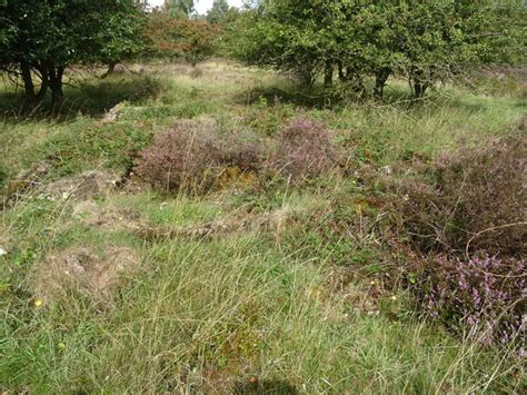 Rugeley (Penkridge Bank) Camp 'Line 3' -... © John M cc-by-sa/2.0 :: Geograph Britain and Ireland