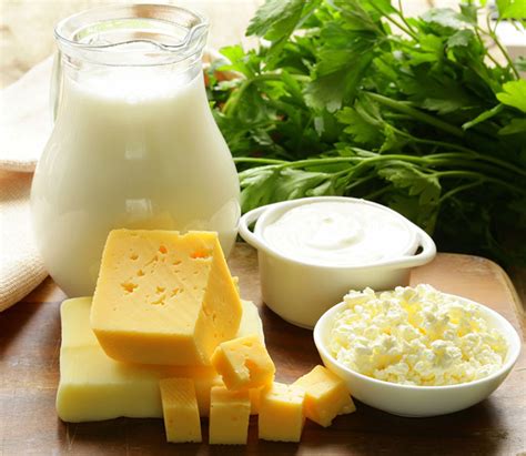 Milk does a probiotic good | University of California