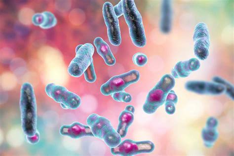 Epsilon toxin-producing Clostridium perfringens colonize the gut of multiple sclerosis patients