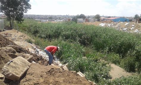 Saving the Kaalfontein Wetland