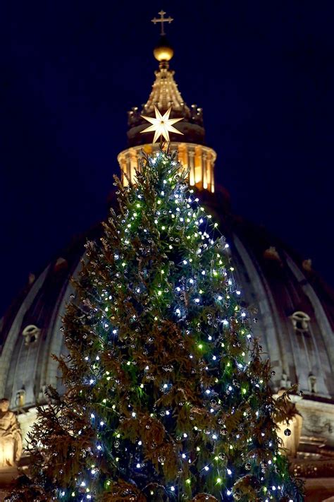 St. Peter's Square in Vatican City | Christmas tree light up, Christmas tree, Christmas