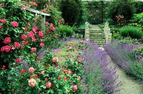 The Perfect Cottage Garden In 7 Simple Steps | Cottage garden, Country cottage garden, Beautiful ...