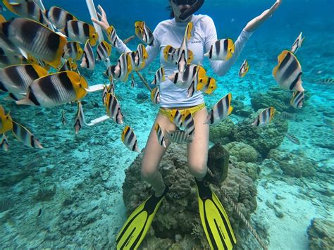 2024 Morning Snorkeling Shared Boat Tour in Bora Bora