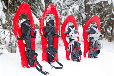 snowshoeing-in-mammoth-lakes - Mammoth Creek Vacation Rentals