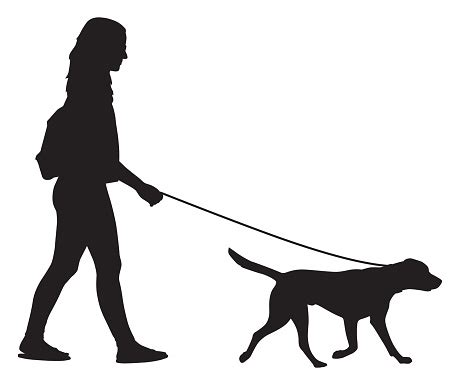 Lady Walking Dog Vector Download