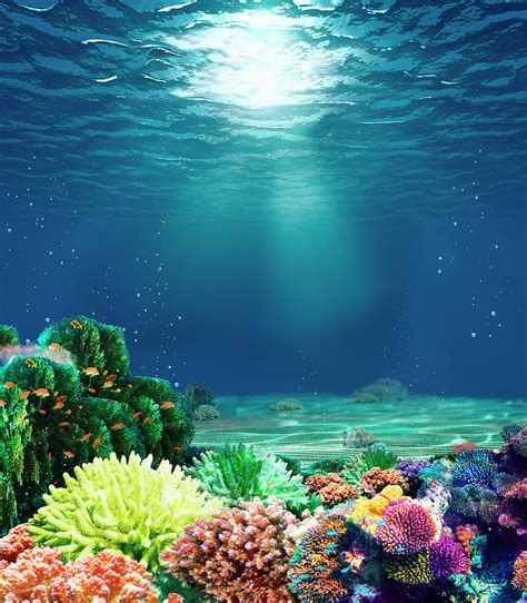 Underwater Coral Art