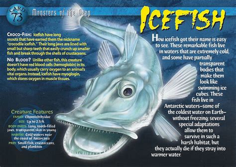 Icefish - Wierd N'wild Creatures Wiki