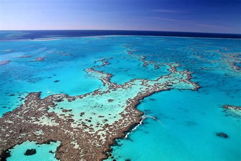 Visit the Great Barrier Reef and the Daintree Rainforest - Cairns City ...