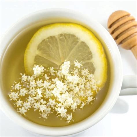 Elderflower Tea: An Easy Recipe + Healing Benefits - A Radiantly Healthy Life