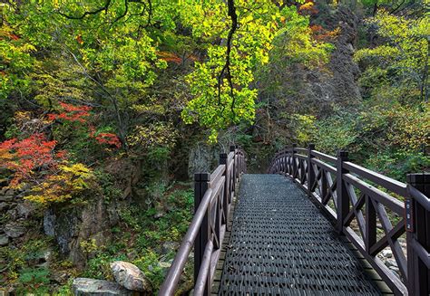 Corea del Sur Parque Puentes Seoraksan National Park Naturaleza | Korea ...