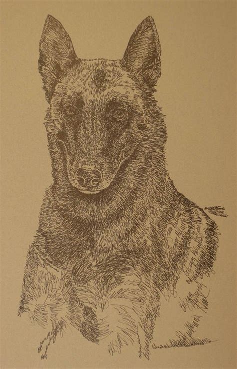 Dog art drawn from the words Belgian Malinois. See all breeds at: drawDOGS.com #BelgianMalinois ...