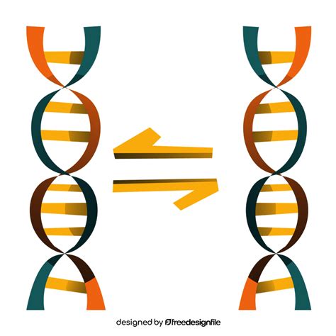 Science dna clipart free download