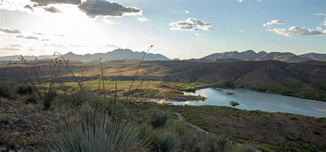 Sonoita Creek State Natural Area | Arizona