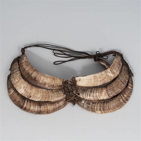 Oceanic Art - Boar's Tusk Pectoral, Papua New Guinea